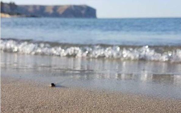 Acogedor Y Precioso Atico En Javea Primera Linea Playa Exterior foto